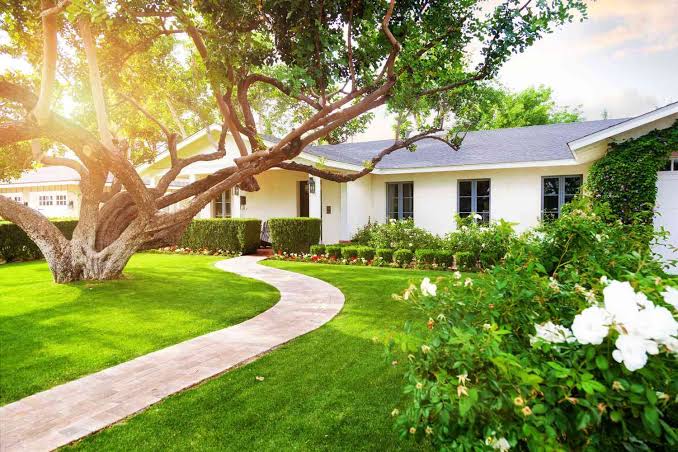 Complete garden makeover